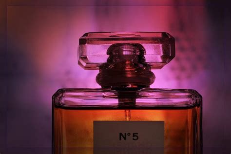 ambergris in chanel no 5|ambergris black market.